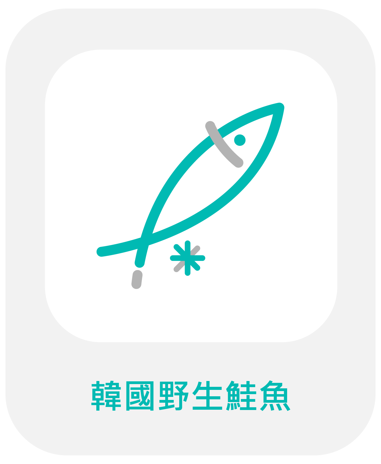 韓國野生鮭魚