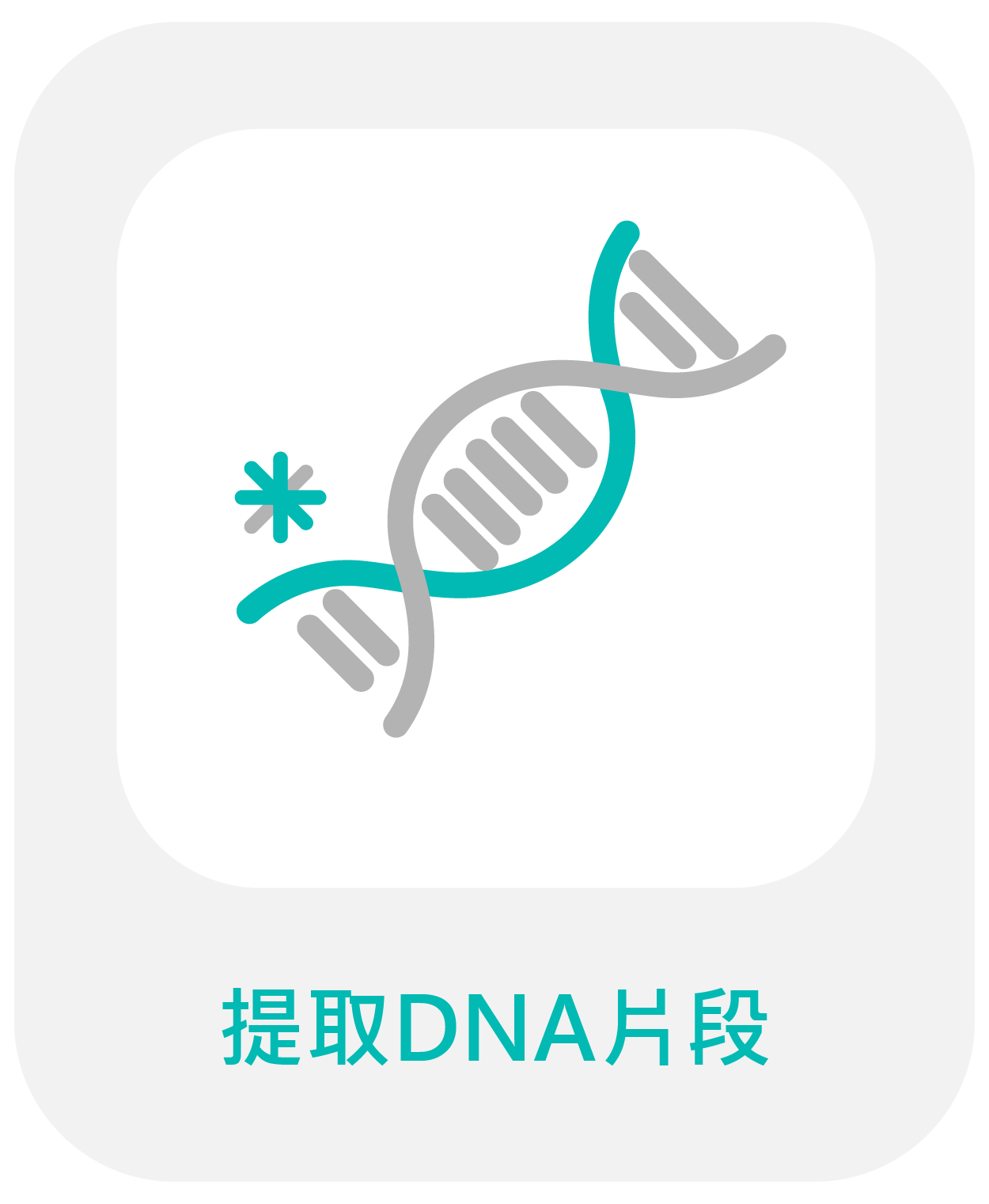 二次精製為PN
