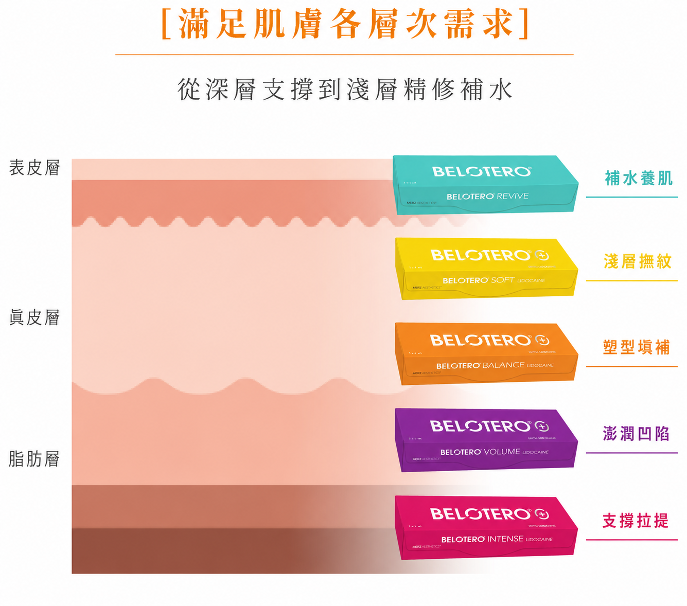 保柔緹全系列